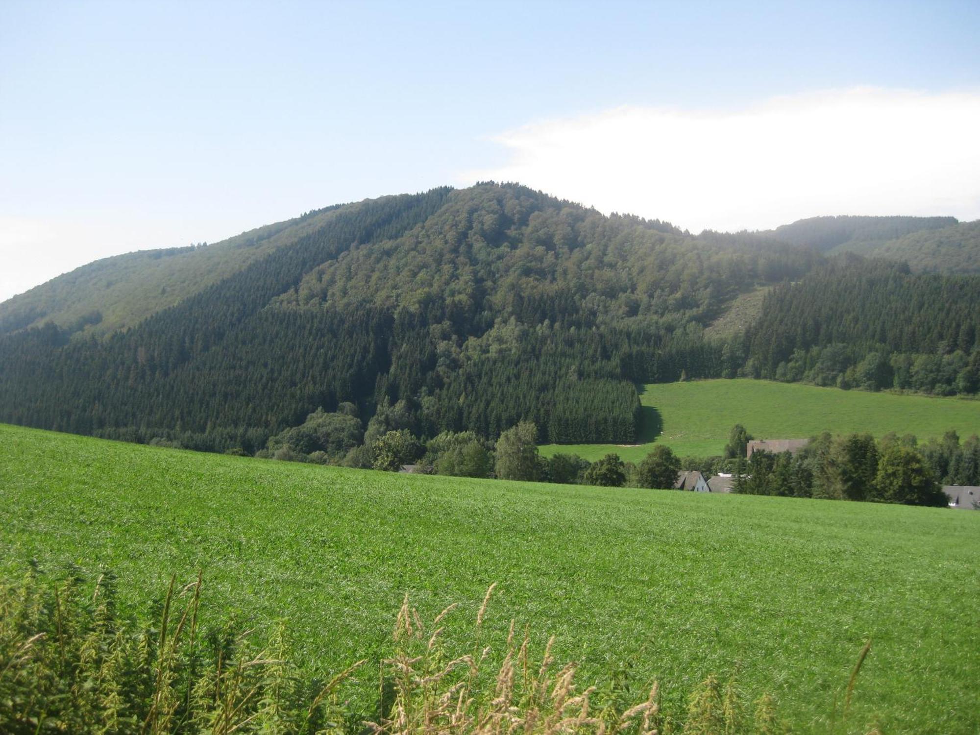 Pension-Gaestehaus Waldhof Winterberg Dış mekan fotoğraf